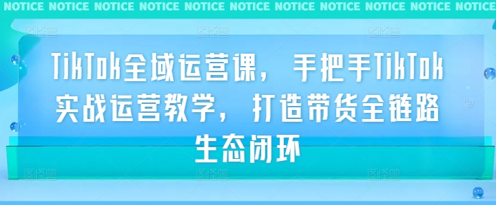 TikTok全域运营课，手把手TikTok实战运营教学，打造带货全链路生态闭环网赚课程-副业赚钱-互联网创业-手机赚钱-挂机躺赚-语画网创-精品课程-知识付费-源码分享-免费资源语画网创